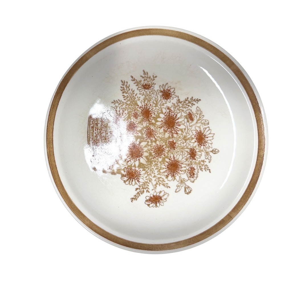 Jamestown China Ironstone Floral dinner plate Brown Tan‎ Flowers USA Vintage